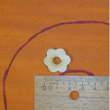 Blüte von oben Blume 20mm