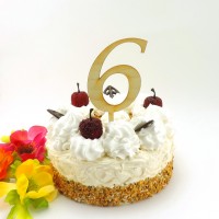 Zahl 6 aus Holz naturbelassen für eine Torte oder auf Blumenstrauß