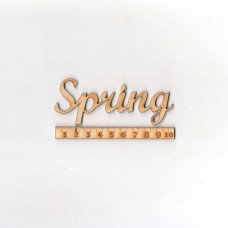 Schriftzug "Spring" 100mm