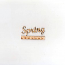 Schriftzug "Spring" 70mm