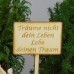 Schild mit persönlicher Gravur